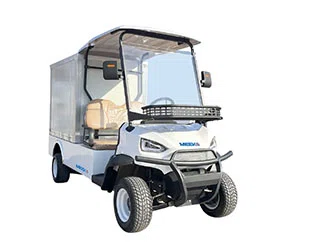 Custom Electric Golf Carts for Sale With Fast Charging & Range