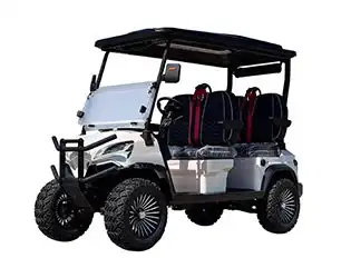 Best 4 Person Luxury Golf Cart Features Every Owner Wants