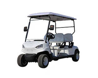 OEM Custom Electric Golf Carts for Sale – Dealer & Bulk Deals