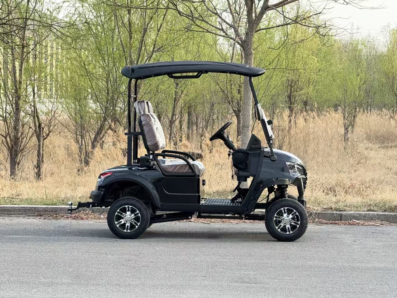 Can a 2 Seat Mini Golf Cart Boost Your Resort's Efficiency?