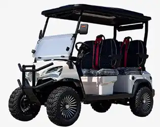Custom Car Golf Carts with Premium Suspension & Style