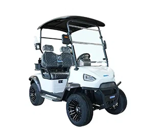 Mini Golf Cart Safety Tips Every Owner Should Know