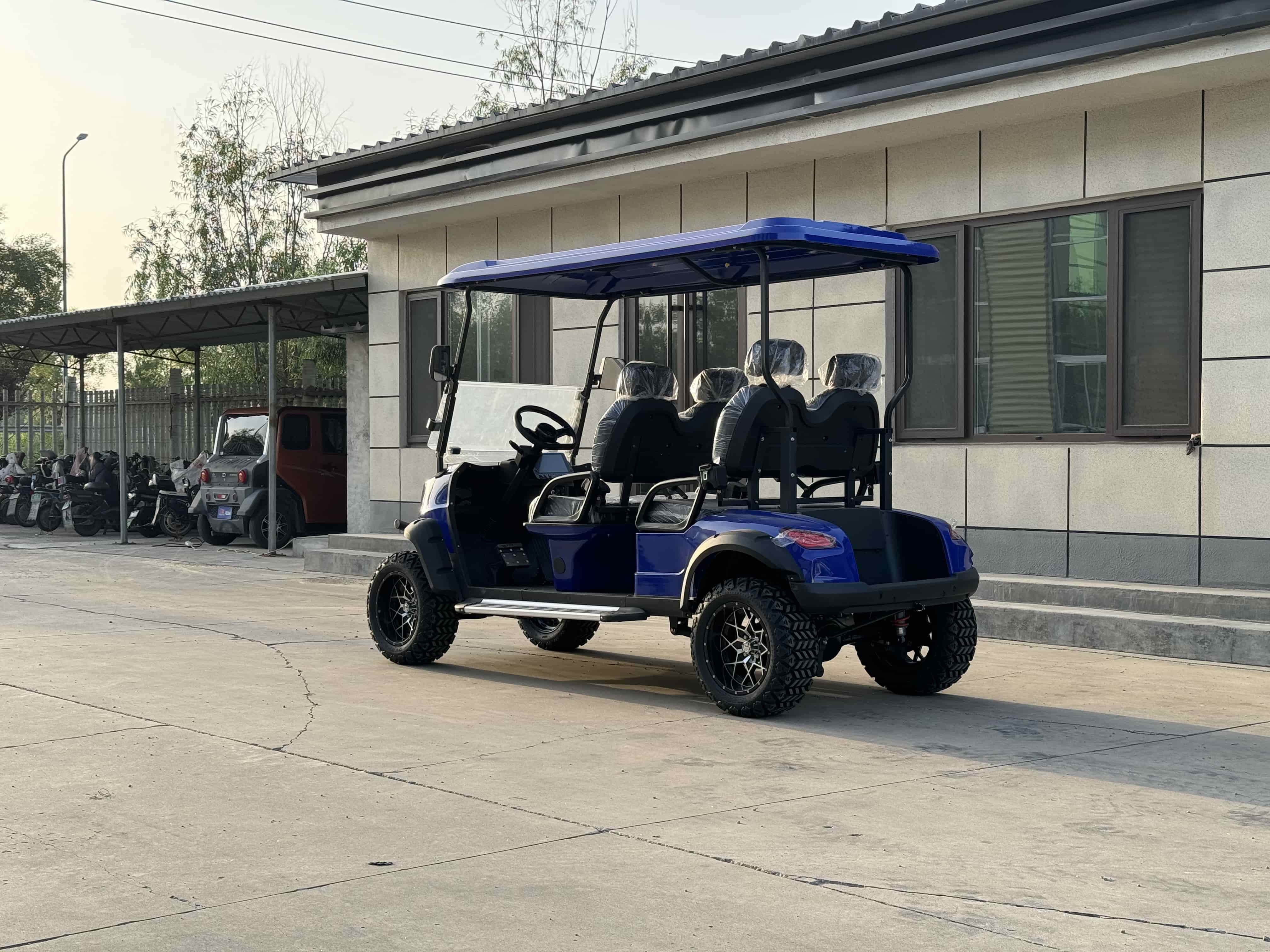 2025 Trends: Why More Buyers Are Upgrading to Luxury Electric Golf Carts