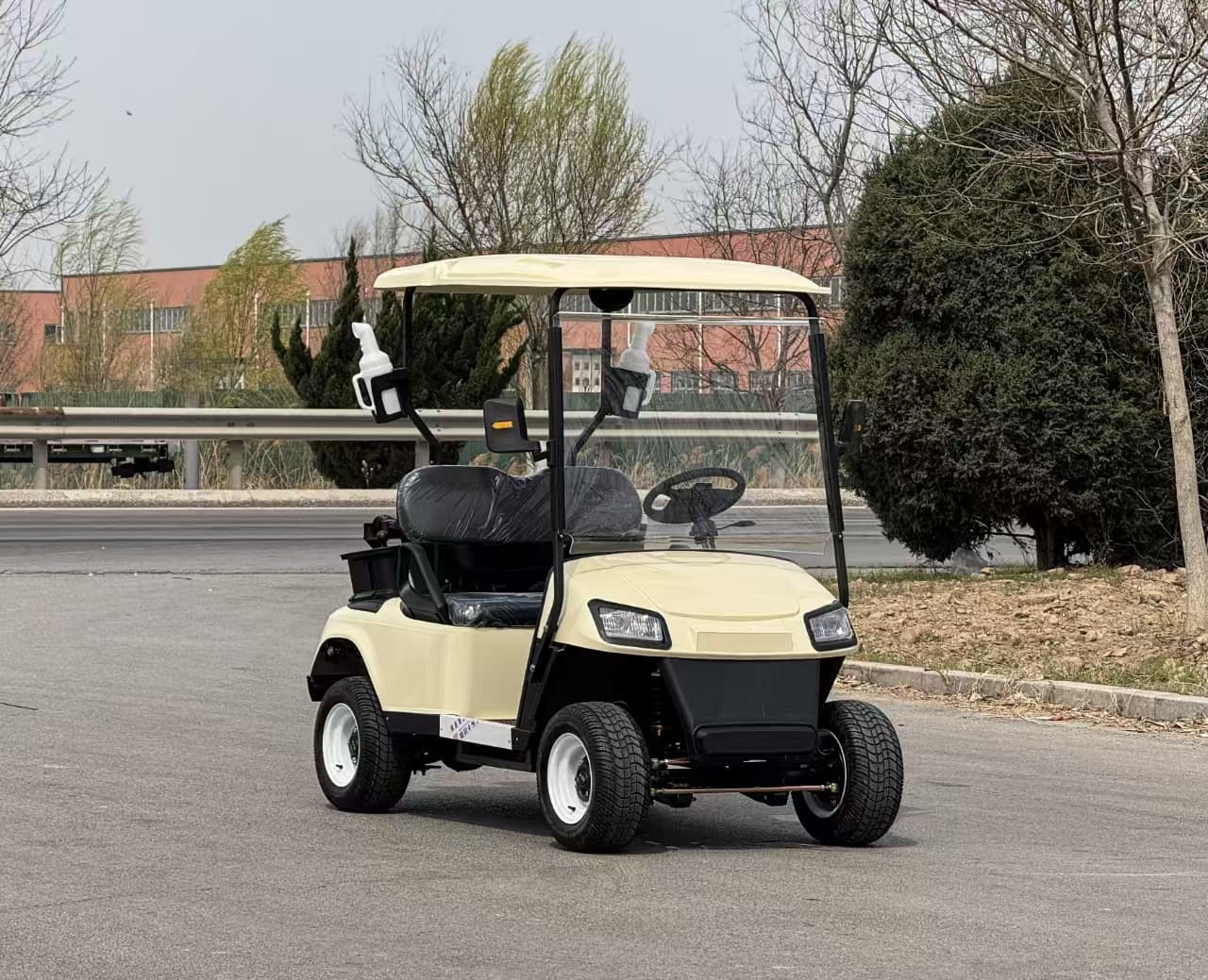 Custom Golf Carts: Affordable Premium Fleet Solution
