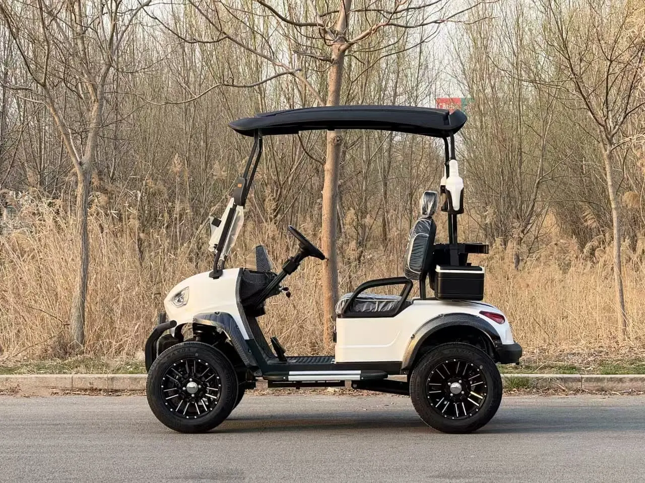 2-Seater 48v Golf Cart: Spacious, Street-Legal & Effortless