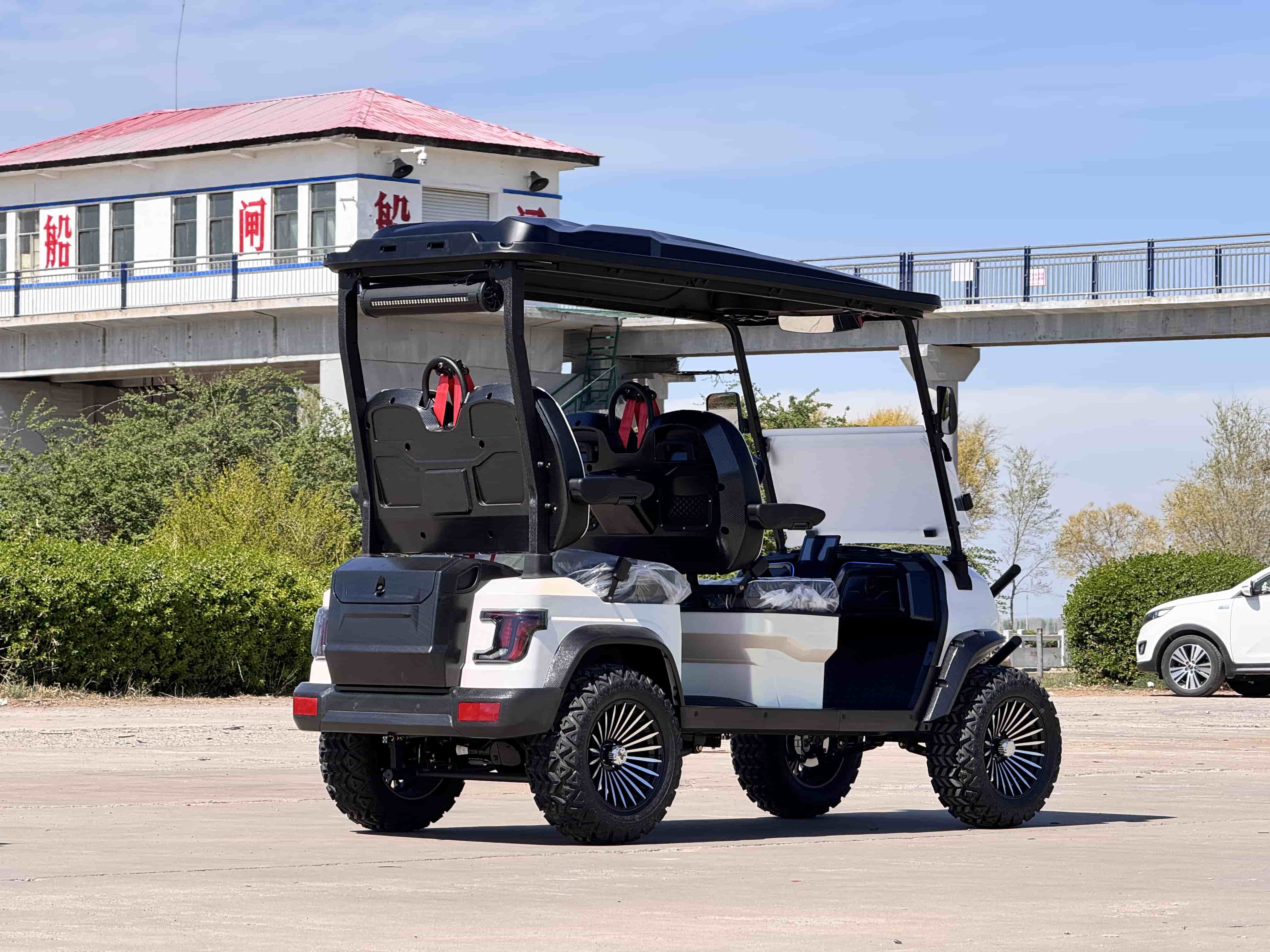 The Ultimate Buyer's Guide to Small Electric Golf Buggies