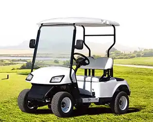 Why Choose Custom Electric Golf Carts for Sale Today? Top Reasons