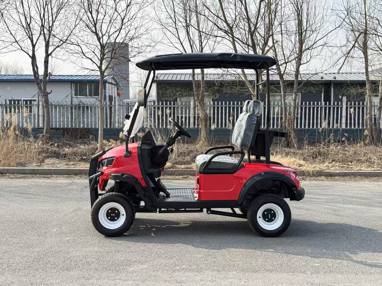 2025's Best Custom Mini Golf Cart Designs for Resorts