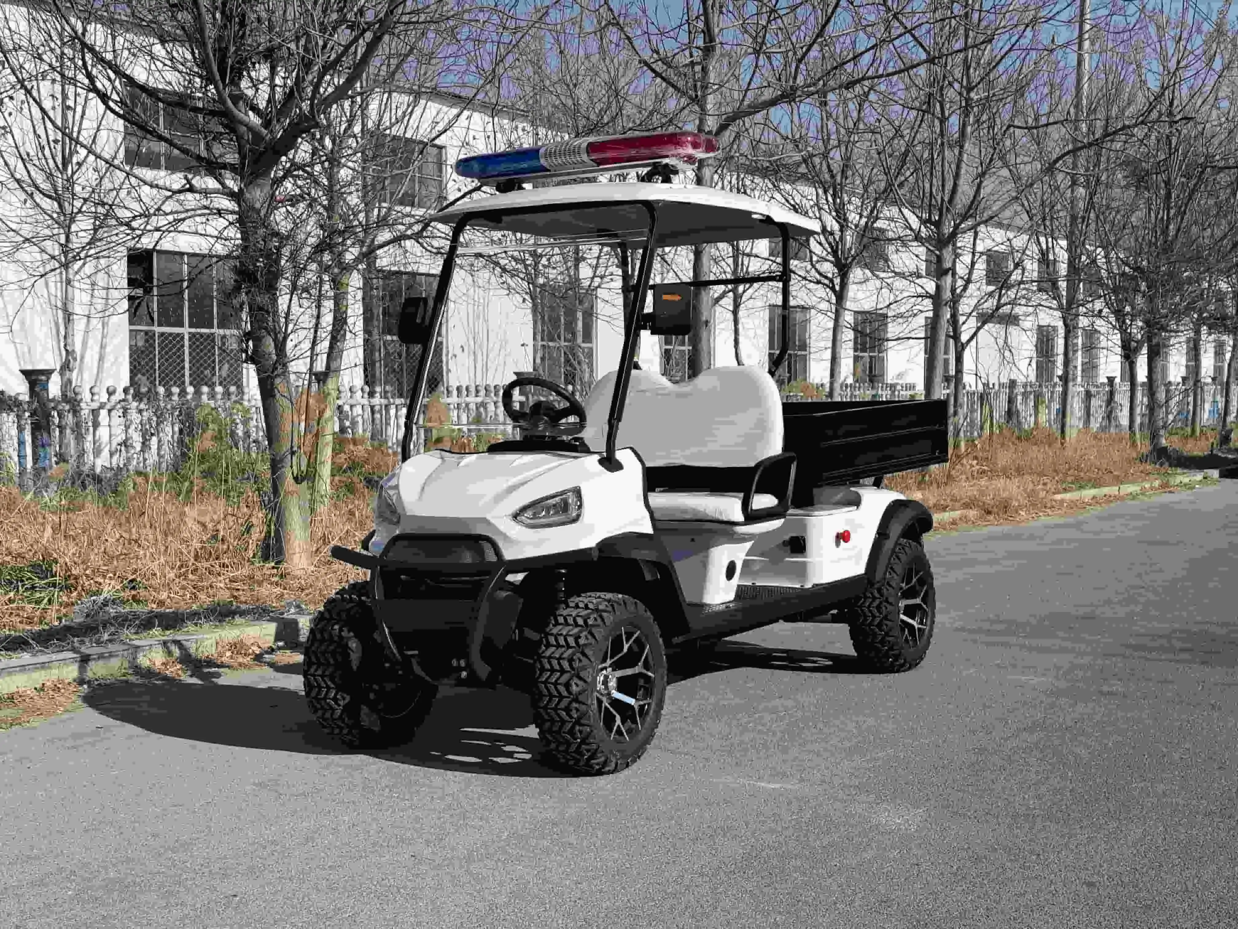 What Are the Key Features of the Best Golf Carts Electric for All Terrains?