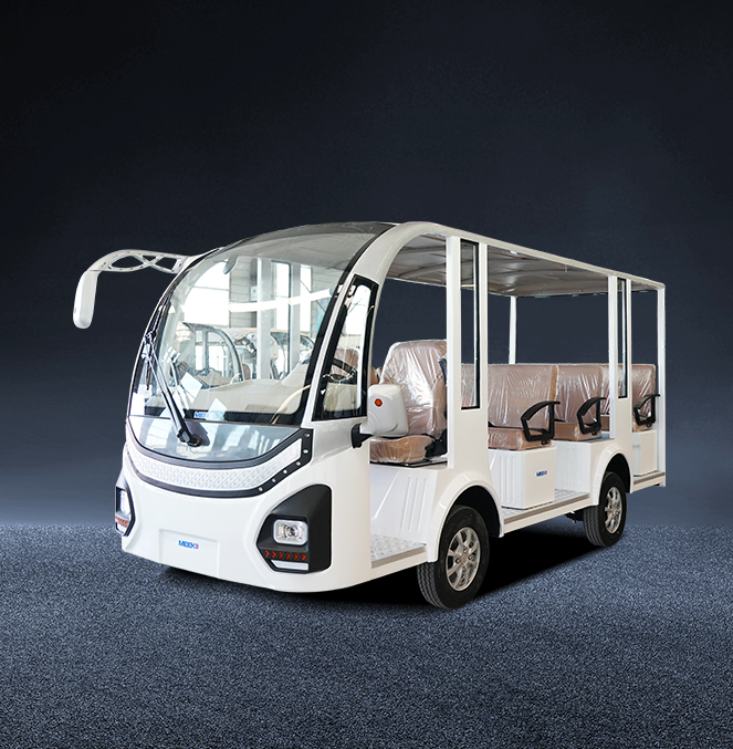 Sightseeing Vehicle